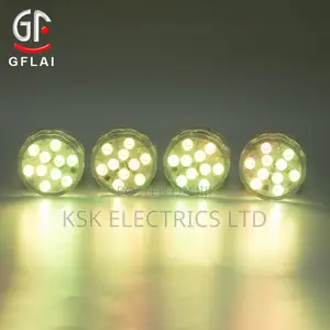 Remote Controlled Submersible Light