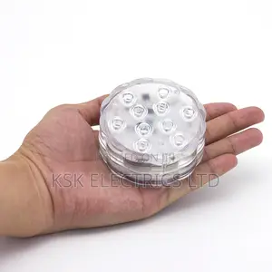 Remote Controlled Submersible Light