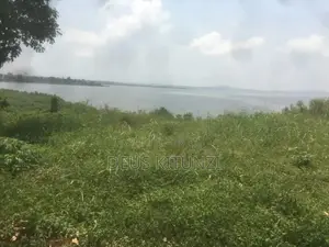 7.5 Acres in Mukono on Lake Victoria for Sale