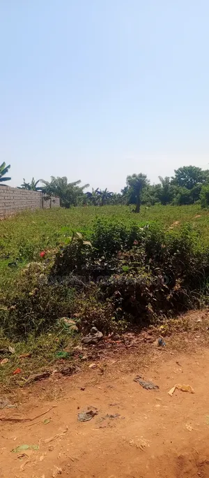 50*100 Plot of Land Touching on Marrum Road in Nsasa Near Bulindo Town