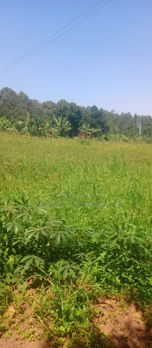 2 Acres of Land in Kyabakade Namengo