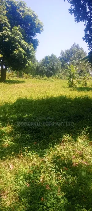 4 Acres of Land in Nakasaja Namengo Village