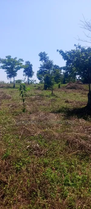 50*100 Kabaka 3plots in Kyabakade