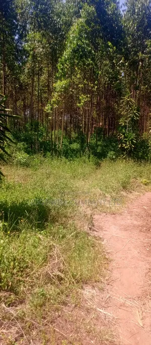 50*100 Plots in Namengo Kyabakade