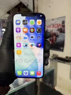 Apple iPhone 12 Pro Max 256 GB Blue