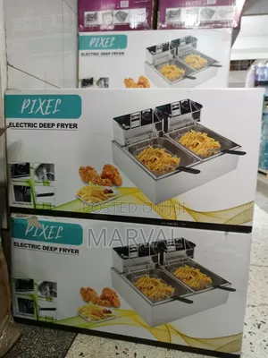 12l Double Electric Deep Fryer.