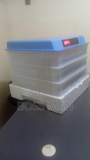 450 Eggs Solar Incubator