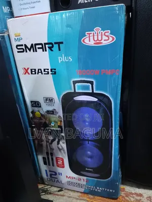 Smartplus 12-Inch Dual Rechargeable Bluetooth Loud Speaker System