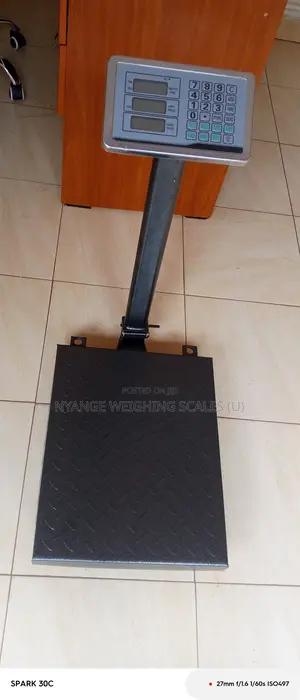 Simple Operation Weighing Scale 350kg Weigh Accurate Weighing Scale