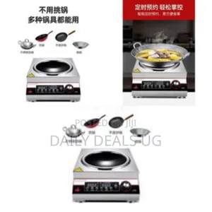 Stainless Steel Induction Cooker With Integrated Wok Burner-Multicolor