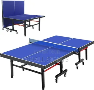 Foldable Tennis Table