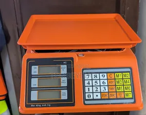 40 Kilo Price Computing, Memory Saving Weighing Scale