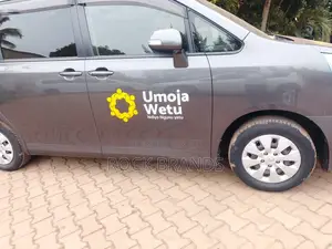 Car Body Stickers