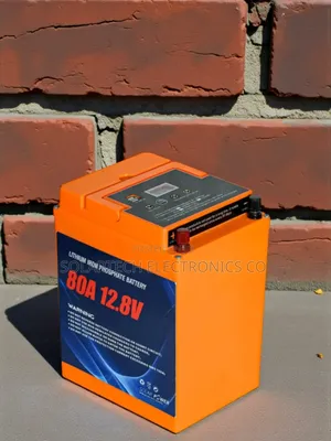 80ah Lithium Iron Phosphate Battery – Lc Star