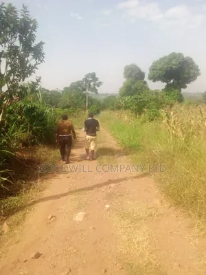10 Acres of Land in Luwunga Kiwenda Gayaza Road