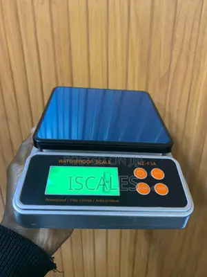 Steel Bakery Weighing Scale for Kitchen 10kg Weighing Scale