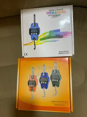 Accurate Hanging Weighing Scale 300kg Digital Hanging Weighing Scale