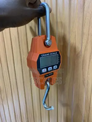 Hanging Weighing Scale 300kg Weigh Digital Hanging Weighing Scale