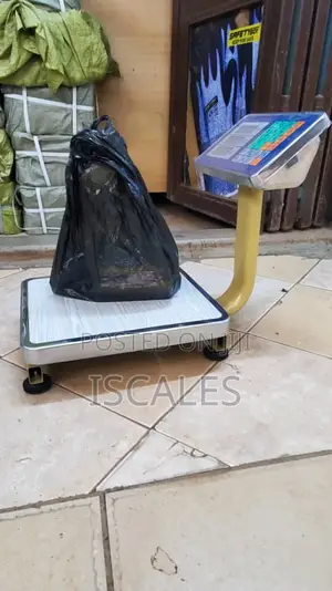 Digital Weighing Scale 60kg Retail Weigh Digital Weighing Scale