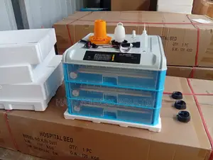 300 Ac Dc Eggs Incubator
