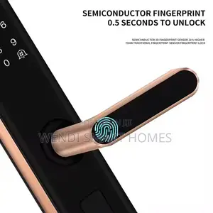 Smartier Tuya Wifi Intelligent Smart Lock