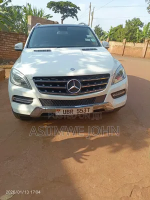 Mercedes-Benz M Class 2015 White