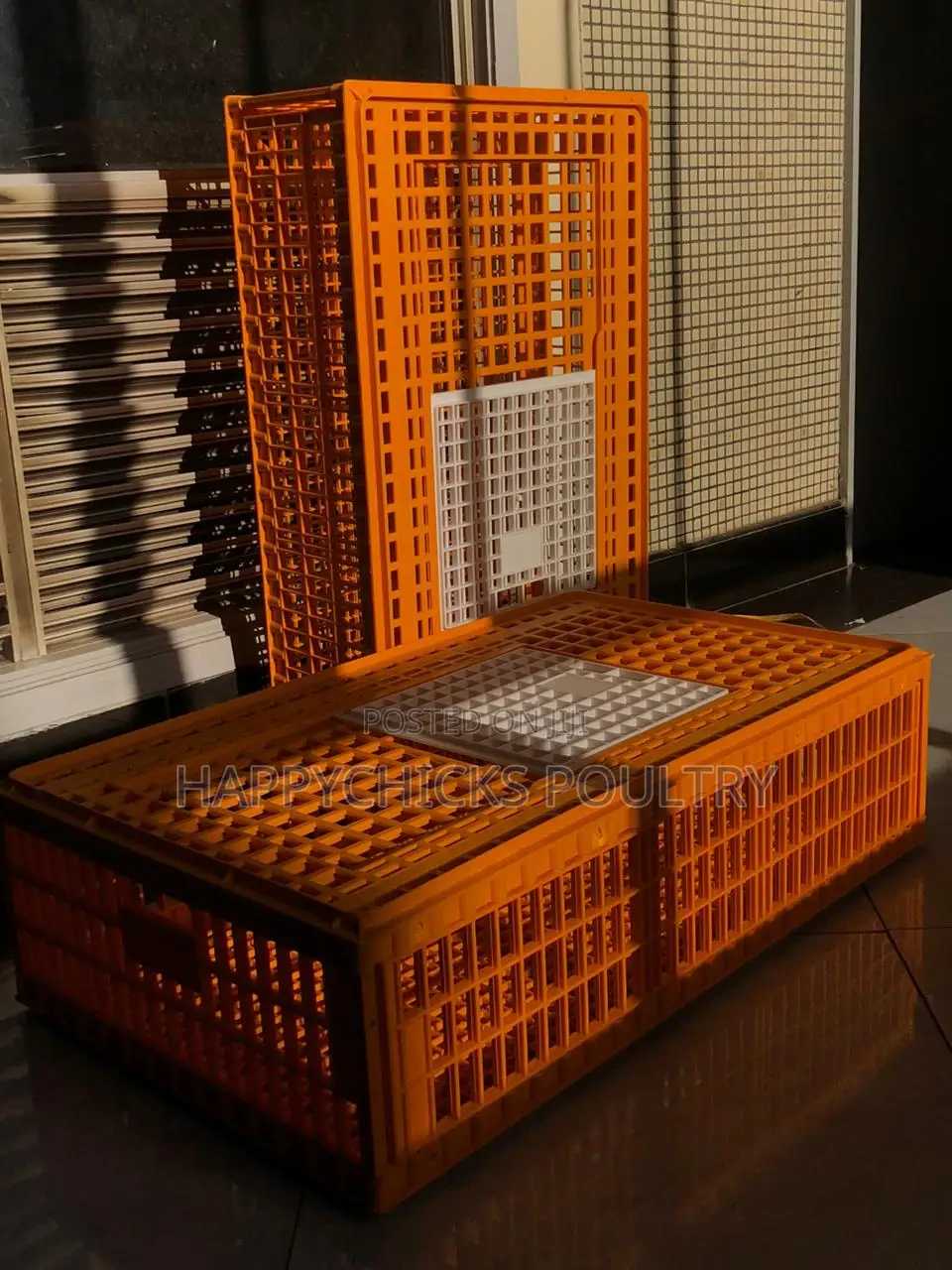 Chick Transportation Baskets