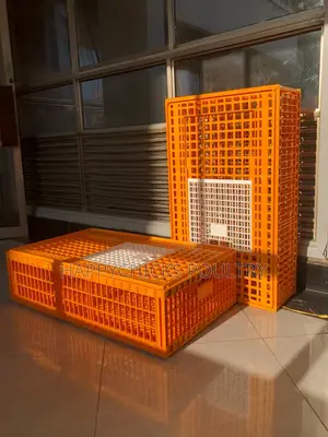 Chick Transportation Baskets