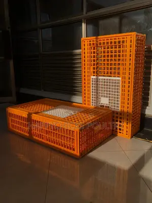 Chick Transportation Baskets