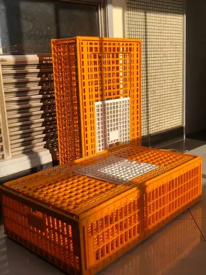 Chick Transportation Baskets