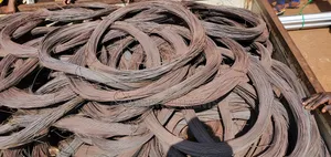 Binding Wire