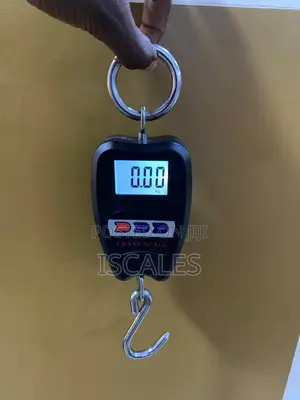Hanging Weighing Scale Light Duty 100kg Hanging Weighing Scale