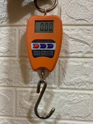 Hanging Weighing Scale 200kg Steel Hook Hanging Weighing Scale
