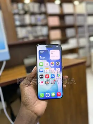 Apple iPhone 15 Pro Max 1 TB Gray