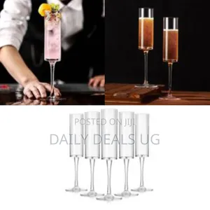 6 Piece Set of Elegant Wine Glasses With Long Stem