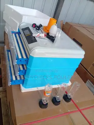 300 Ac Dc Eggs Incubator
