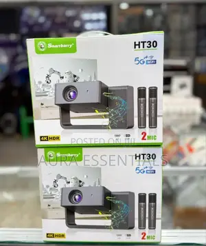 Smartbarry Ht30 With 2 Mic Projector