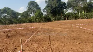 Land for Sell Mukono