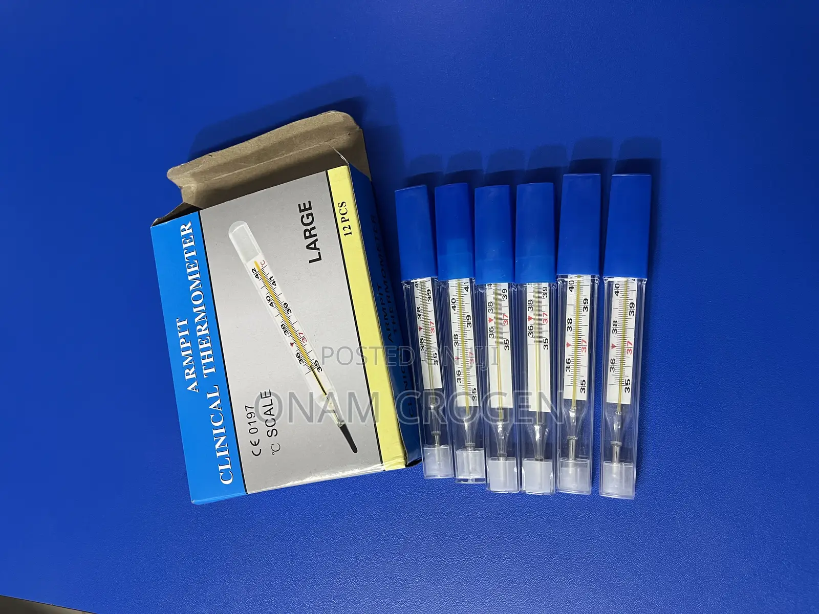 Mercury Thermometer