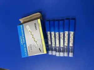 Mercury Thermometer