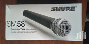 Microphone Shure SM58 Microphone Dynamic Microphone