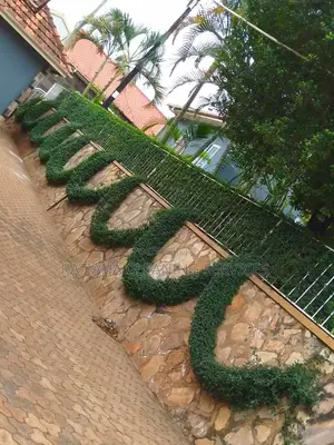 Landscape Design and Compound Maintenance