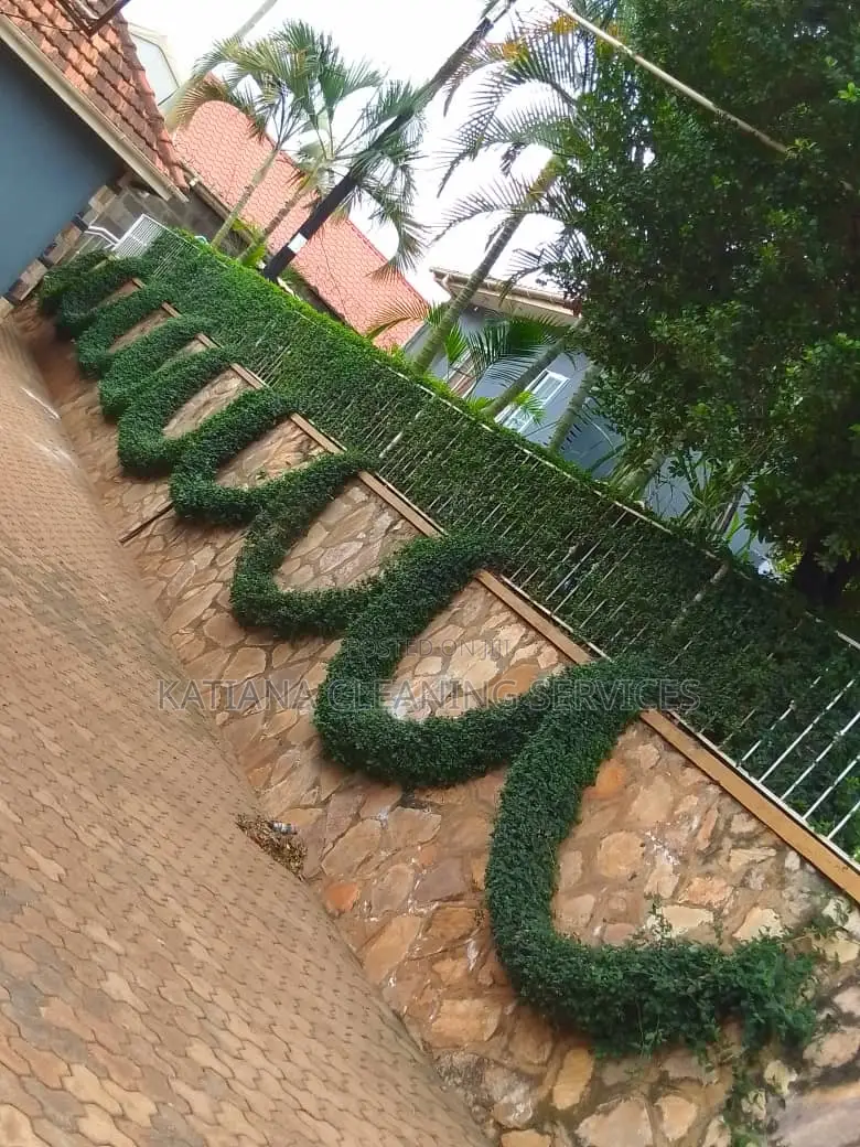 Landscape Design and Compound Maintenance