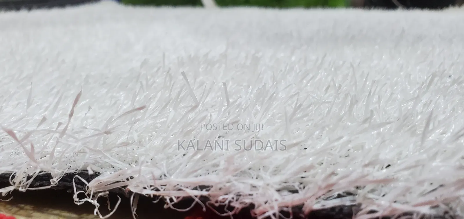 White Grass Carpet