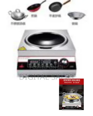 Stainless Steel Induction Cooker With Integrated Wok Burner