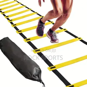 Training Agility Ladders