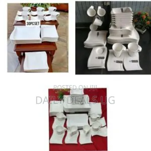 30 Piece of Dinner Ware Set