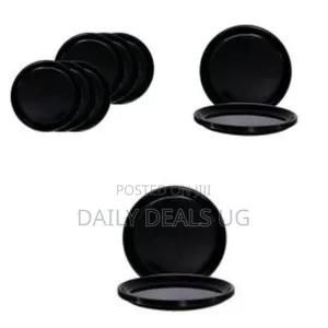 6 Dinner Ceramic Plates