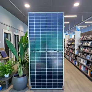 Cworth 650w Bifacial Mono Solar Panel