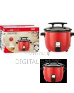 Professional Rice Cooker